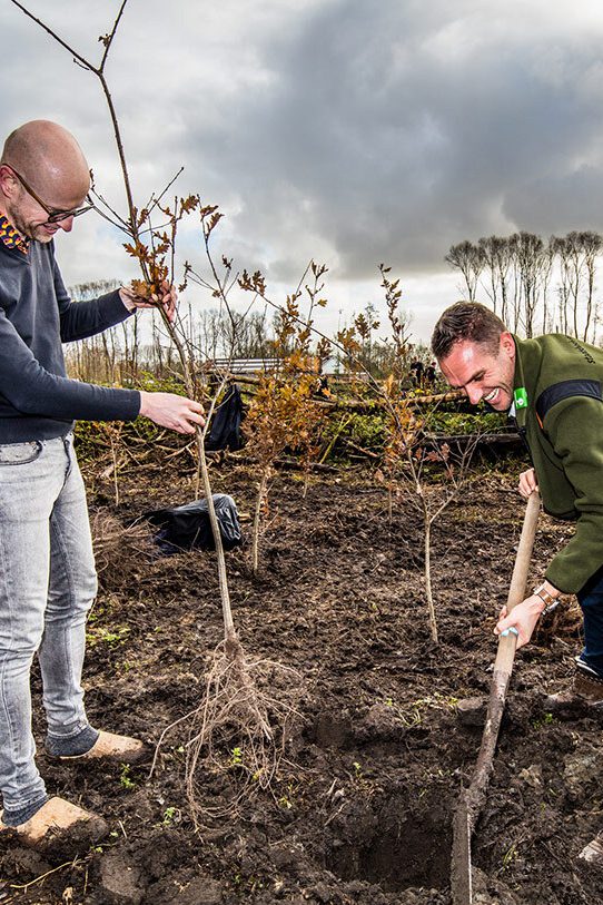 Koffie van Hoorn | Trees for all